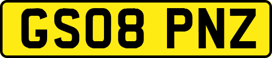 GS08PNZ