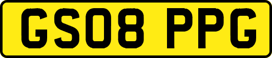GS08PPG
