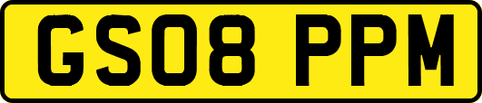 GS08PPM