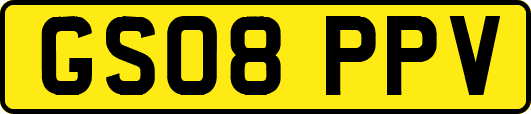 GS08PPV