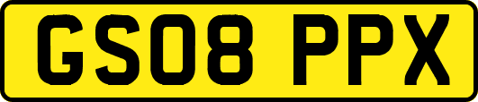 GS08PPX