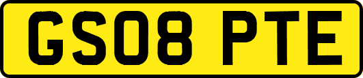 GS08PTE