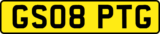 GS08PTG