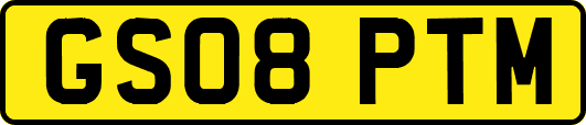GS08PTM