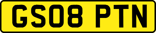 GS08PTN