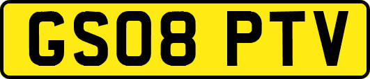 GS08PTV