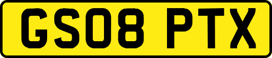 GS08PTX