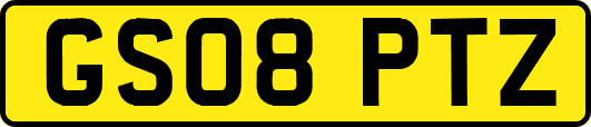 GS08PTZ
