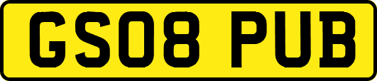 GS08PUB