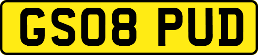 GS08PUD