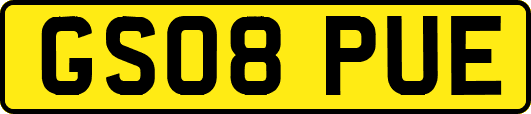 GS08PUE