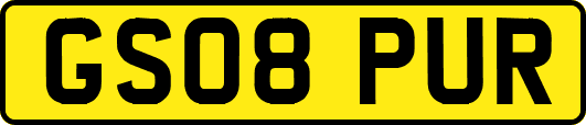 GS08PUR
