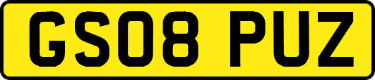 GS08PUZ