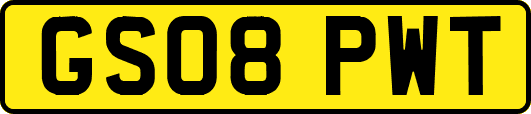 GS08PWT