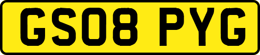 GS08PYG