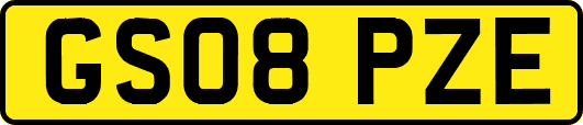 GS08PZE