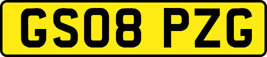 GS08PZG