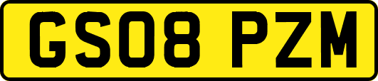 GS08PZM