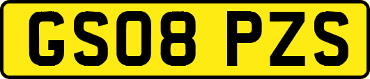 GS08PZS
