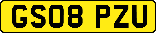 GS08PZU