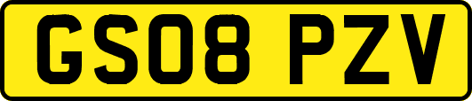 GS08PZV