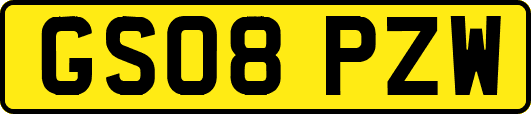GS08PZW