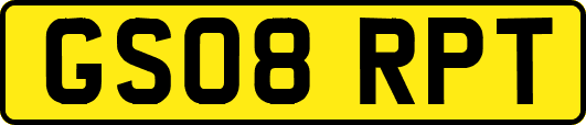 GS08RPT