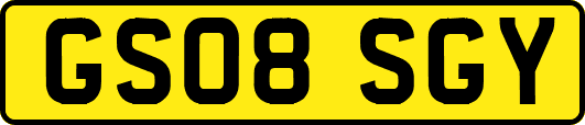 GS08SGY