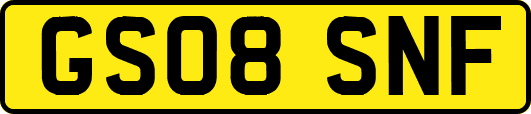 GS08SNF