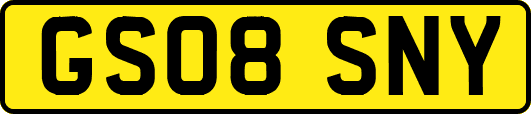 GS08SNY