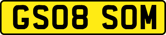 GS08SOM