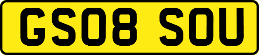 GS08SOU