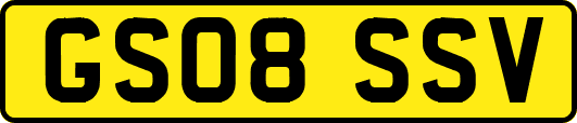 GS08SSV