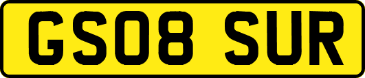 GS08SUR