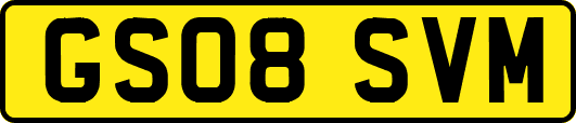 GS08SVM