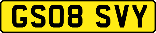 GS08SVY