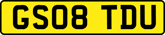 GS08TDU