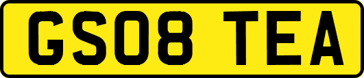 GS08TEA