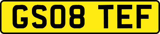GS08TEF