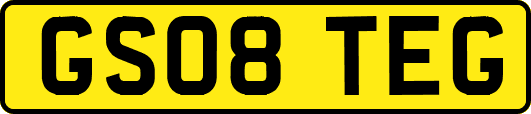 GS08TEG
