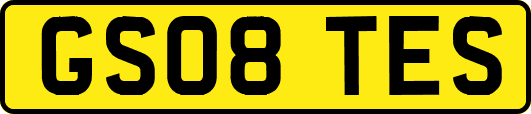 GS08TES