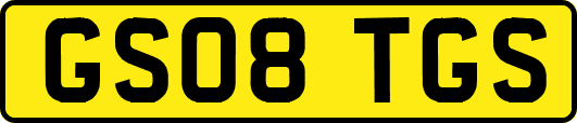 GS08TGS