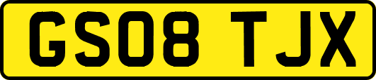 GS08TJX