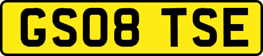GS08TSE