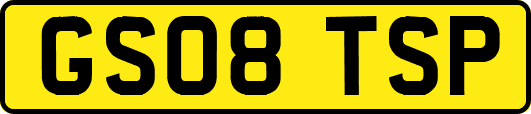 GS08TSP