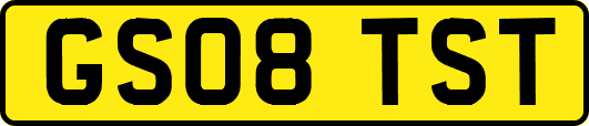 GS08TST