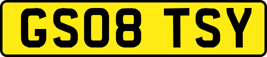 GS08TSY