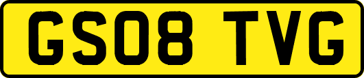 GS08TVG