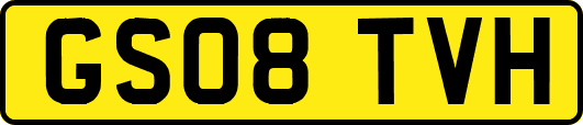 GS08TVH