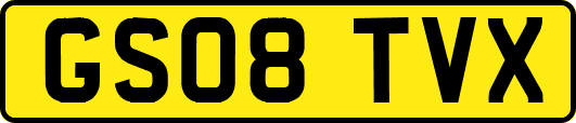 GS08TVX